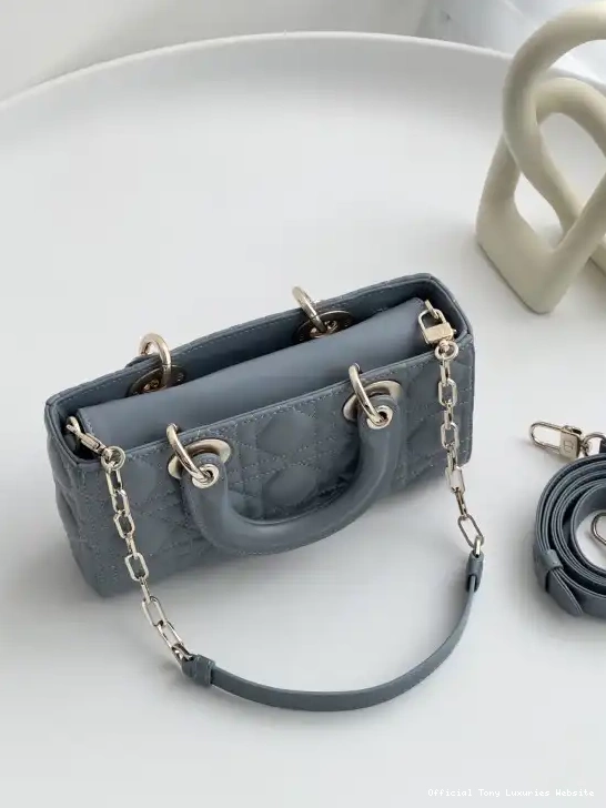 Tony Luxuries BAG-22*12*6CM D-JOY LADY diro 0526